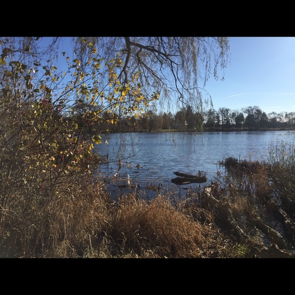 Meet your Posher, Caroline - Picture 1 of 1